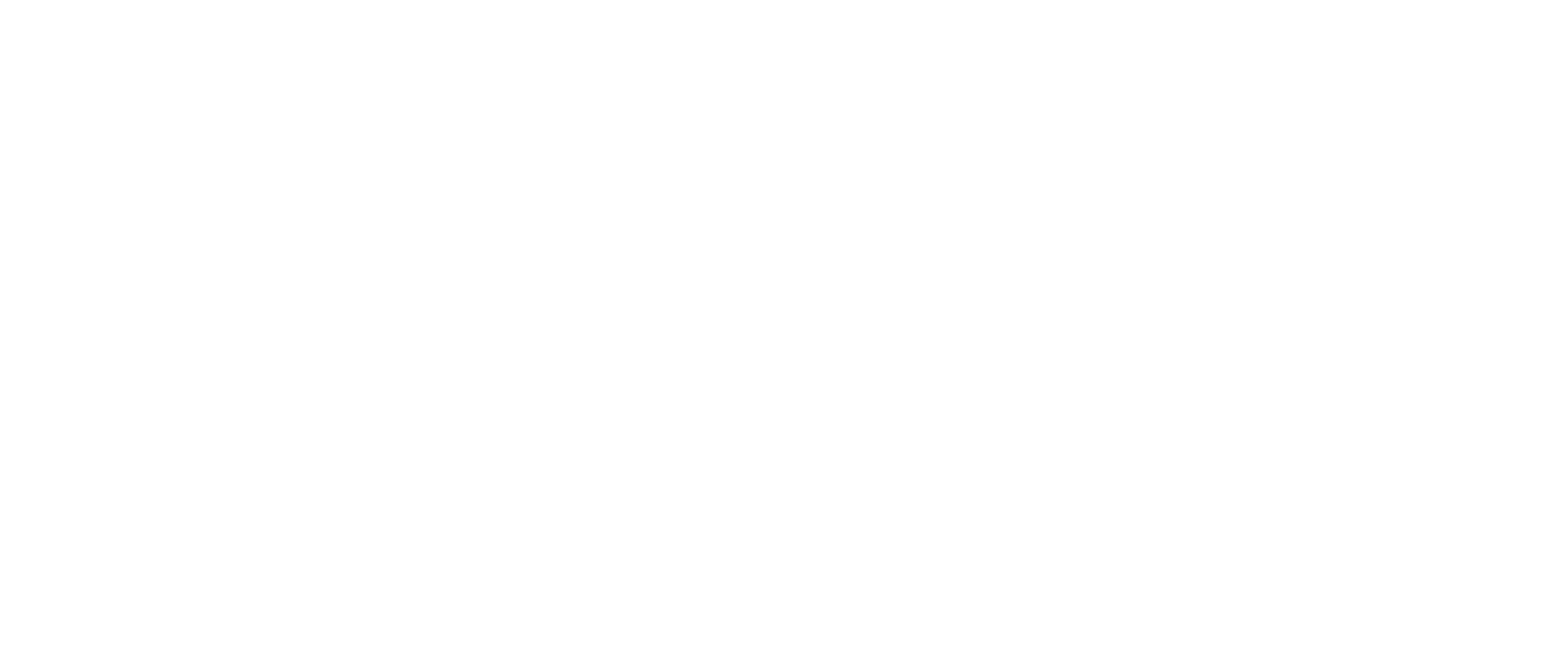 light logo